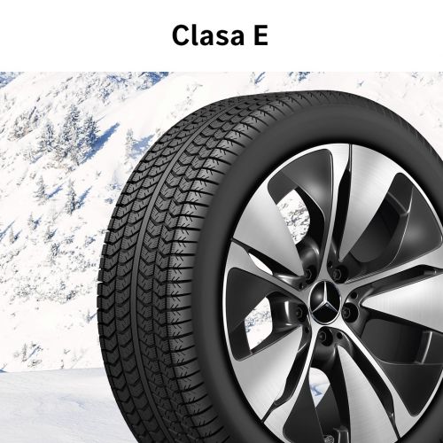 501623_MBAS_2506_TMX_AUTUMN_SEASONAL_CW_Carousel_1080x1080px-RO-v1-8 501623_MBAS_2506_TMX_AUTUMN_SEASONAL_CW_Carousel_1080x1080px-RO-v1-8