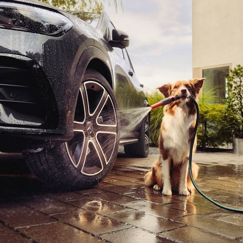 501822_MBAS_26001_TMX_Seasonal_Spring-RO-Native-v1-A-1